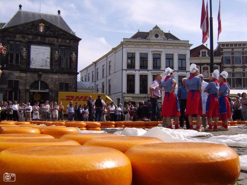 Goudse Kaas - The gouda cheese